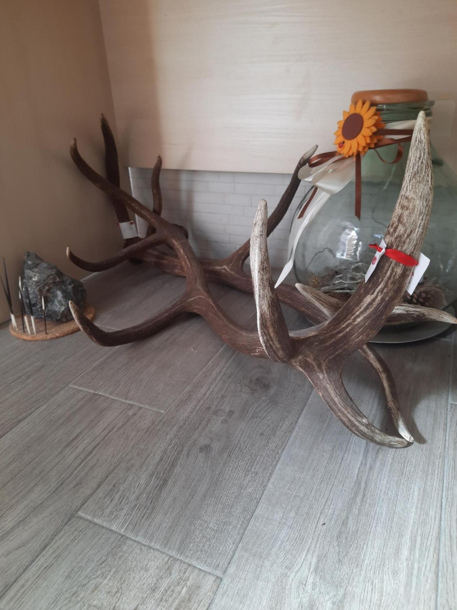 B&B Solimo Sulmona Zewnętrze zdjęcie